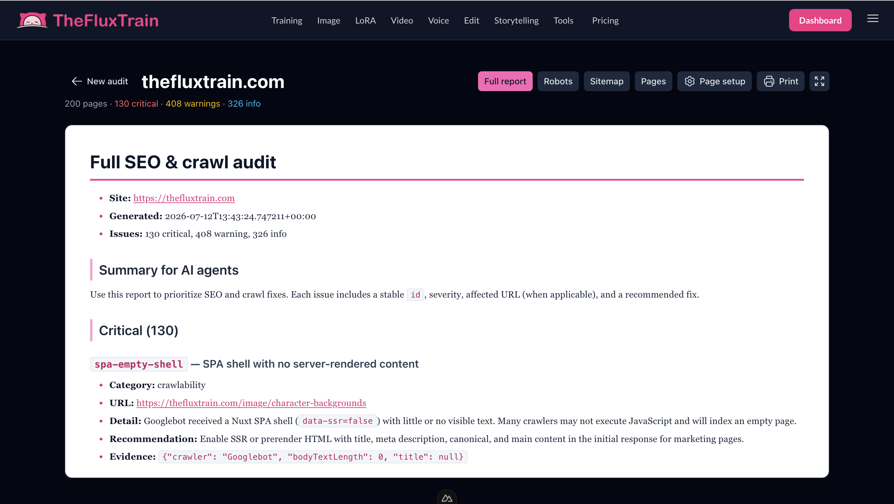 Website SEO audit report with tabs for full report, robots, sitemap, and pages